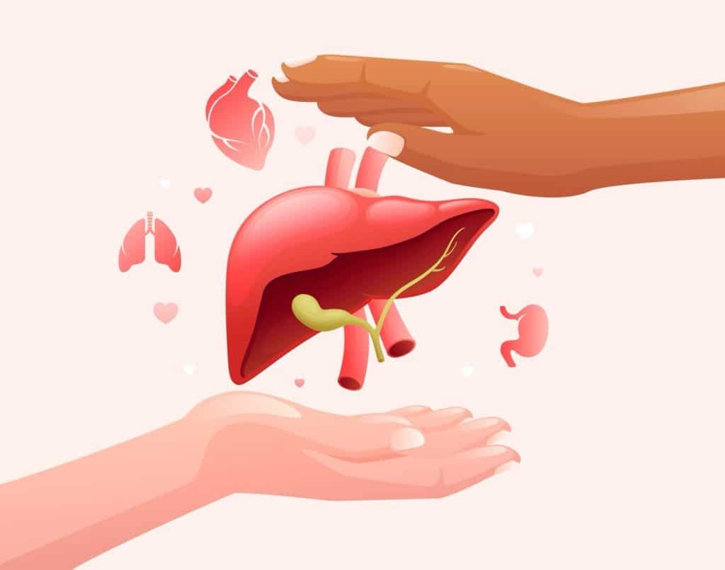 best liver transplant in delhi